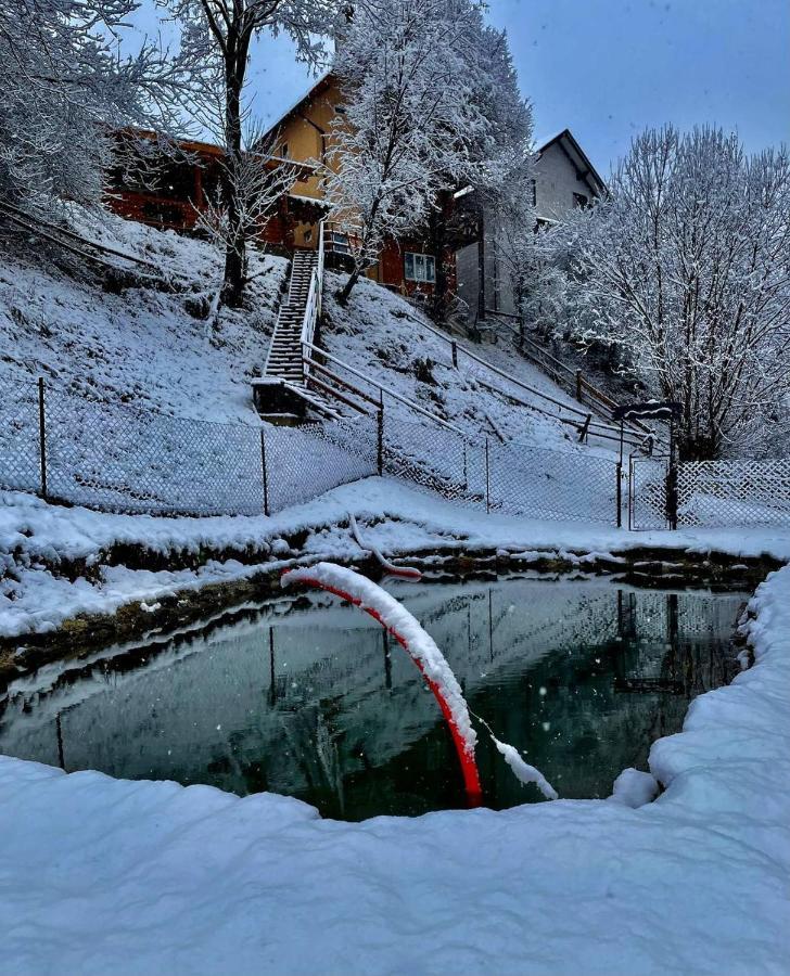 Садиба "У Туза" Vorokhta Exterior photo